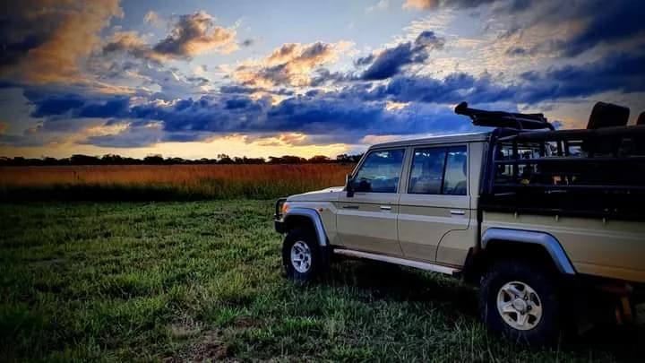 Conservation Management & Cull Safari