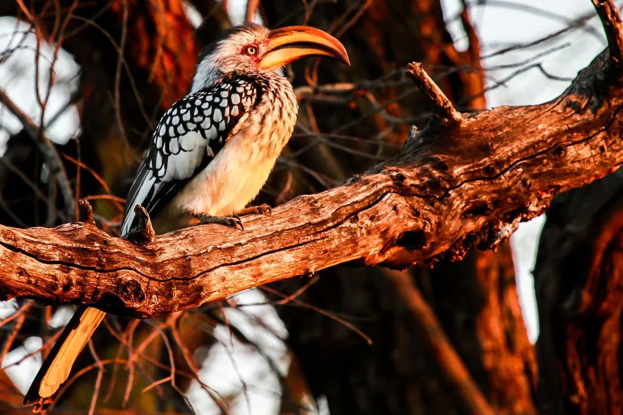 Commitment to Conservation et Sustainability