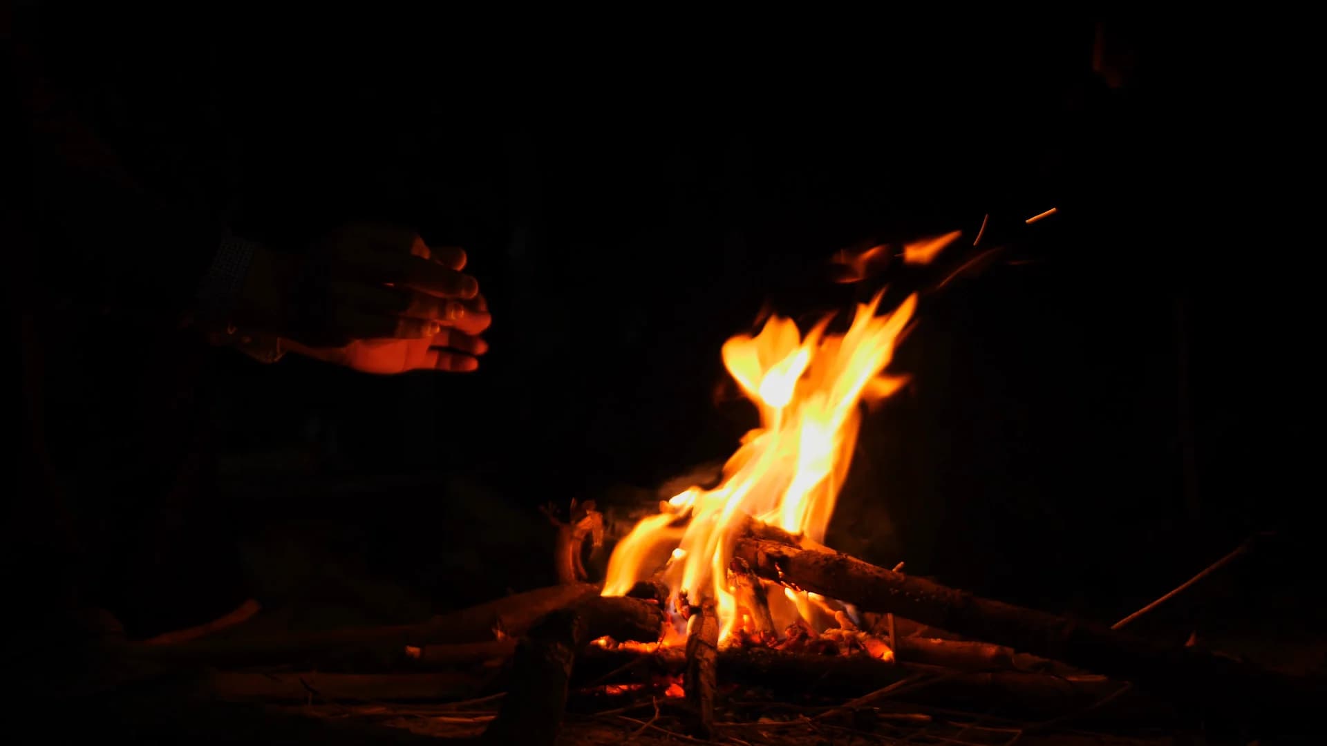 Glowing campfire in the African night