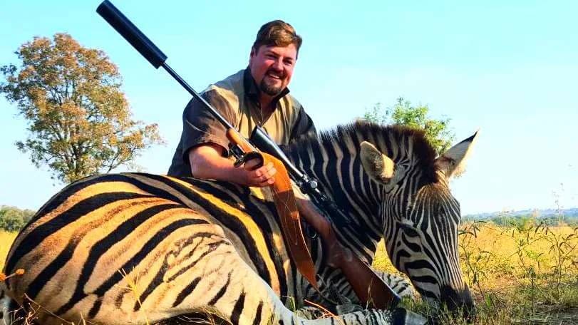 Burchell's Zebra