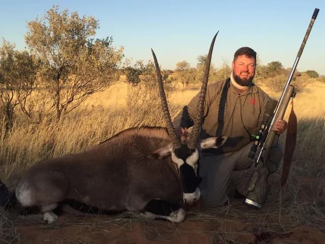 Master Kalahari Gemsbok (Oryx) Bull