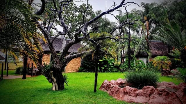 Elevated Safari Deck Overlooking Active Bush Waterhole