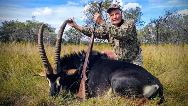 Majestic Trophy Sable Antelope Bull