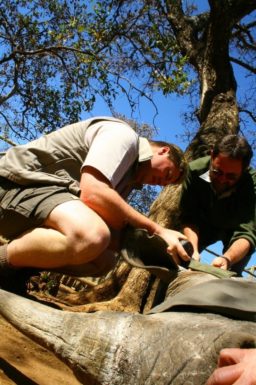 Gert J Meintjes · Rhino Telemetry Operation